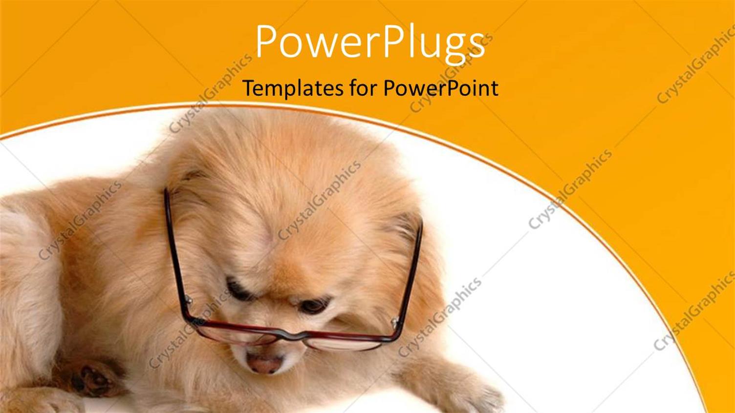 Premium Template for PowerPoint & Google Slides 