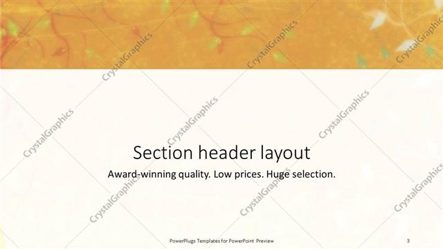 Section Header presentation slide layout