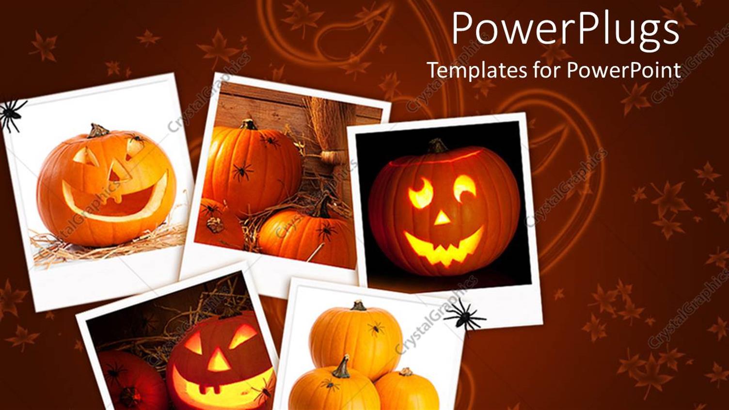 Premium Template for PowerPoint & Google Slides 