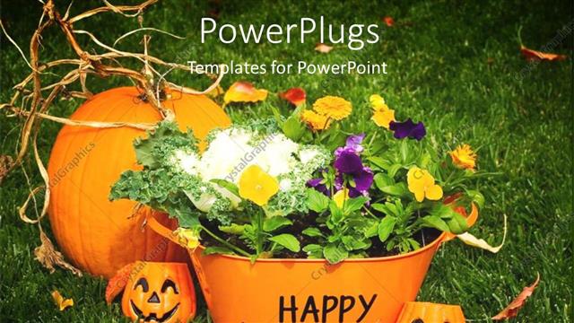  Presentation with halloween - Halloween time with carved pumpkins and basket filled with flowers