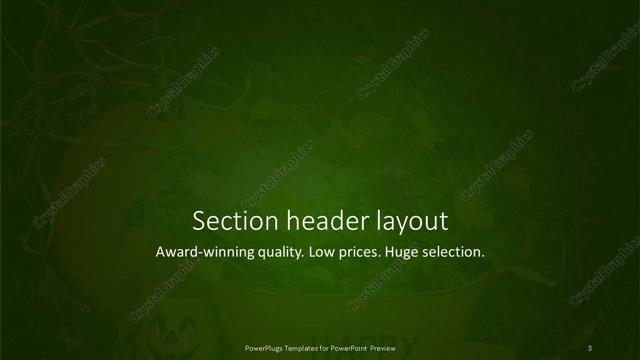Section Header presentation slide layout