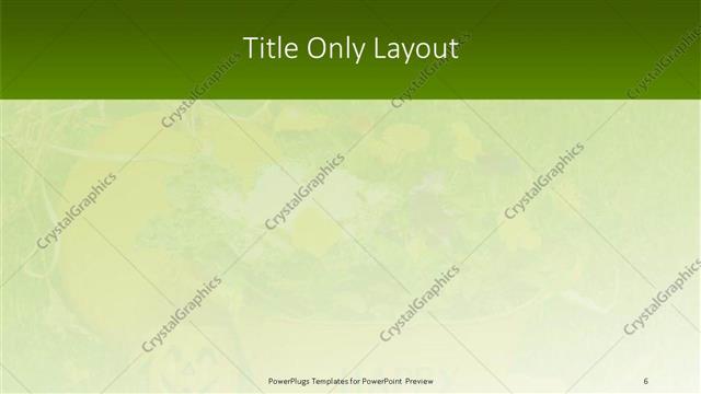 Title Only presentation slide layout