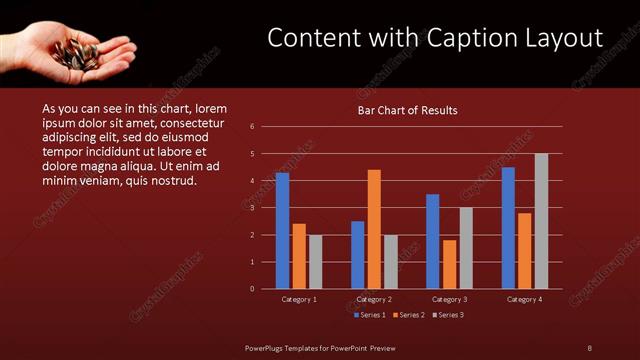 Content with Caption presentation slide layout
