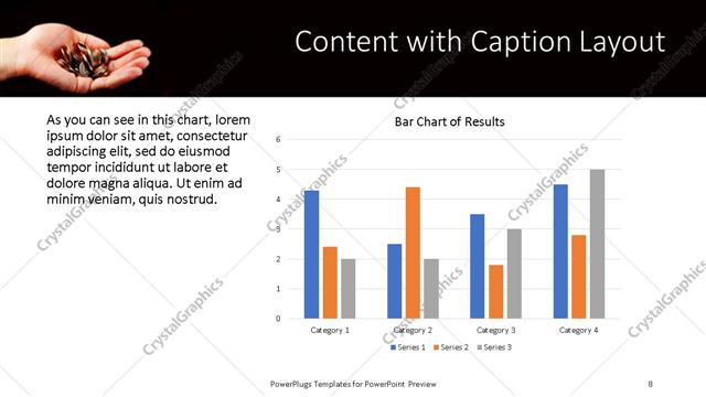 Content with Caption presentation slide layout