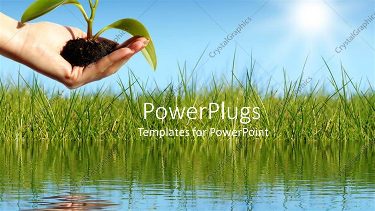 Premium Template for PowerPoint & Google Slides 