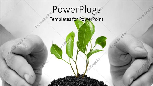  Presentation with growth - Hand protects green plant sprouting from Earth on white surface?