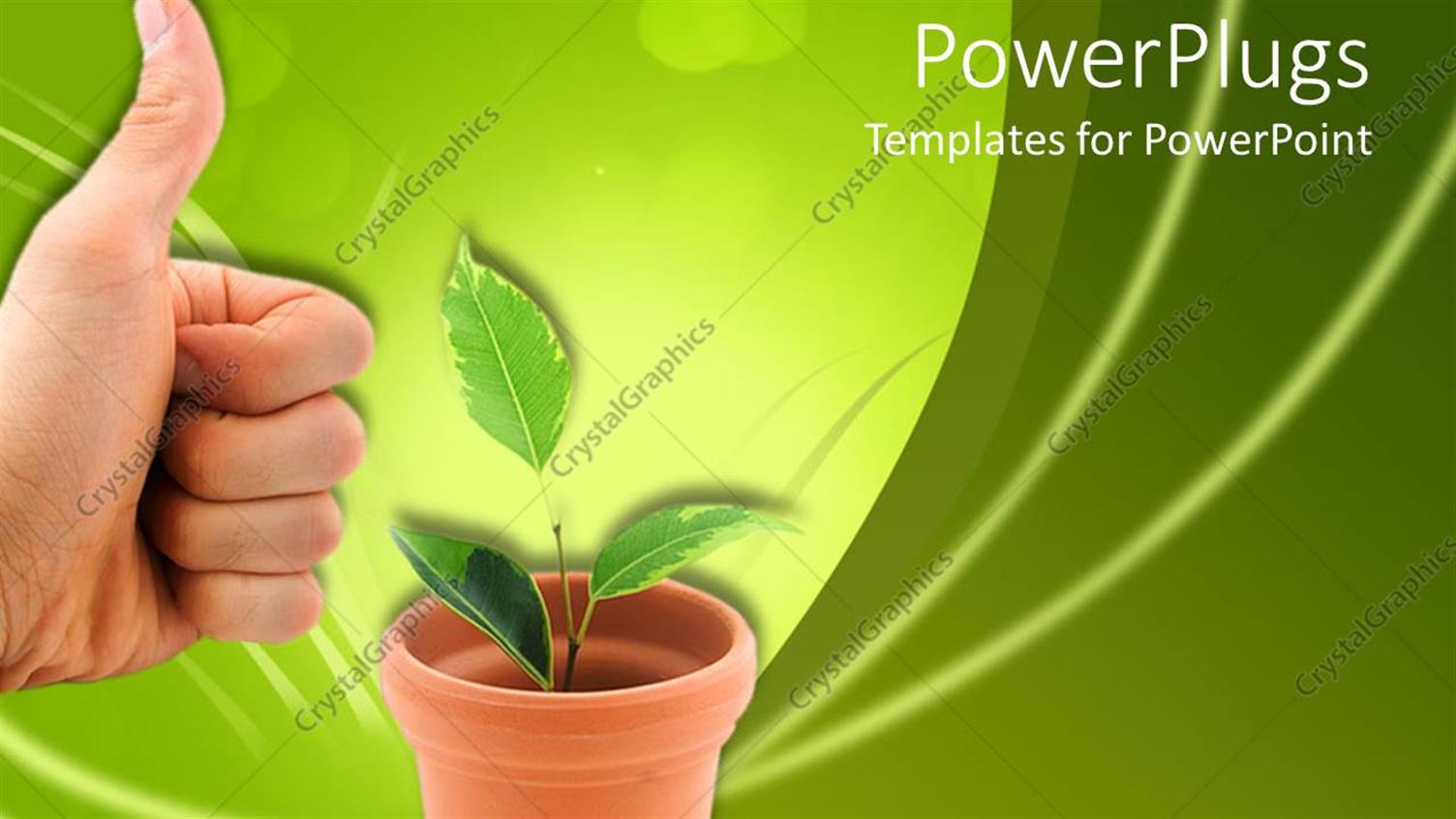 Premium Template for PowerPoint & Google Slides 