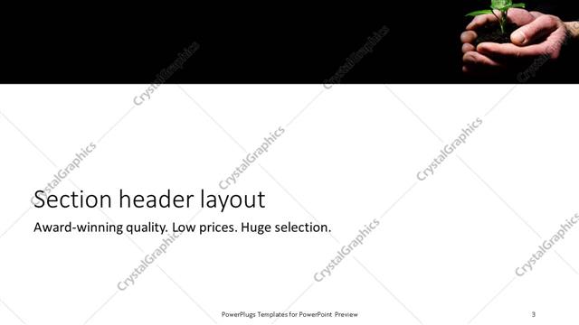 Section Header presentation slide layout