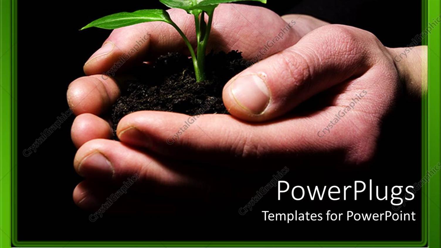 Premium Template for PowerPoint & Google Slides 