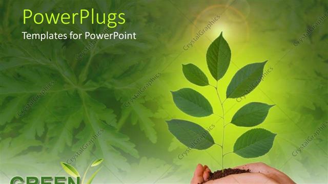  Presentation with young plant - Hands holding young plant, Green future