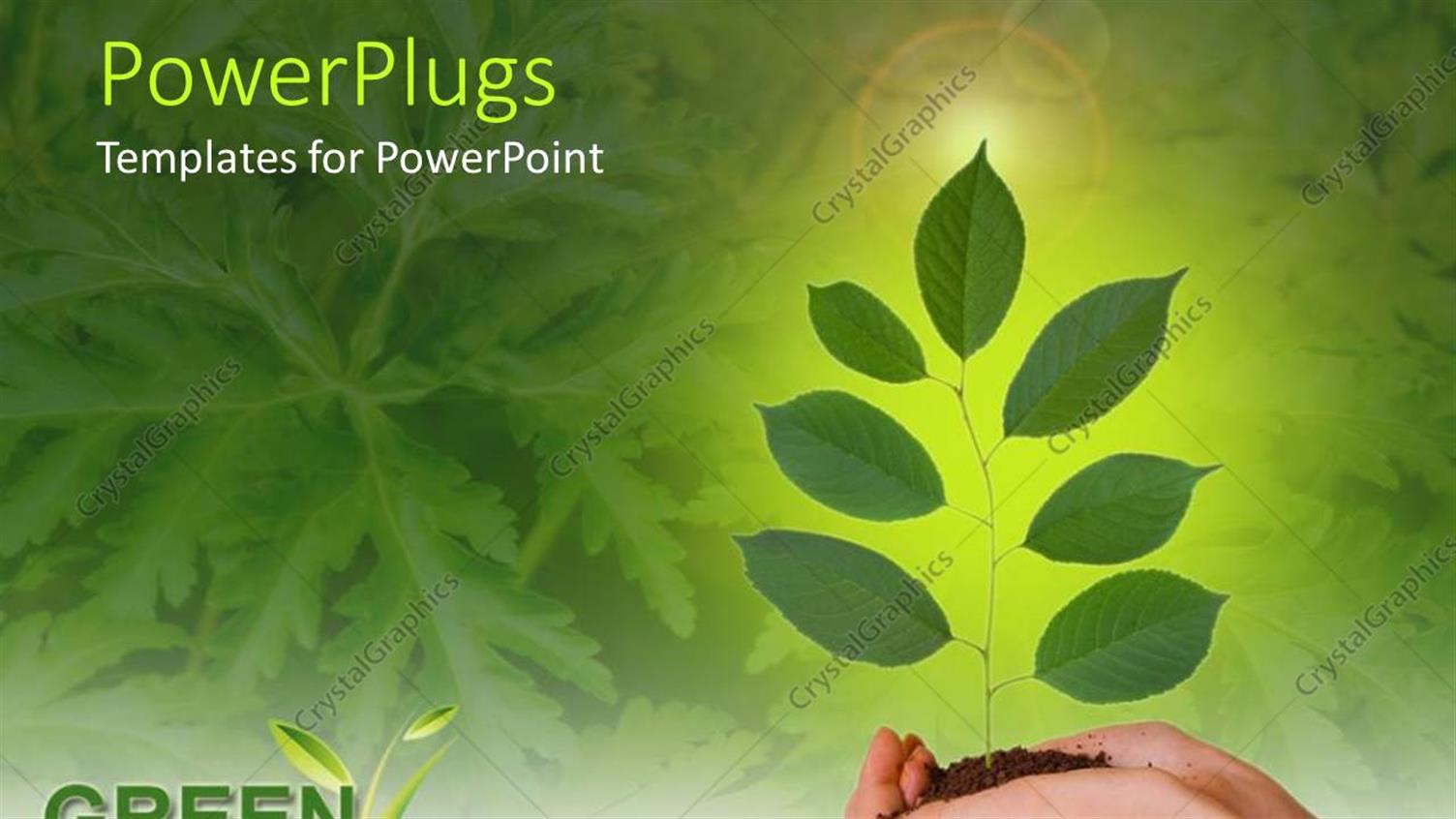 Premium Template for PowerPoint & Google Slides 