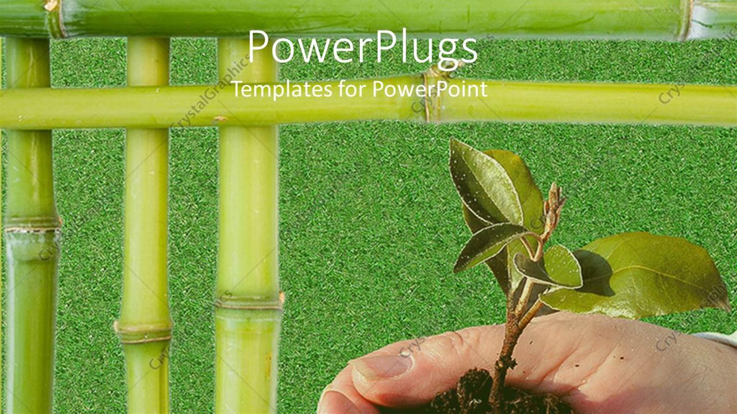 Premium Template for PowerPoint & Google Slides 