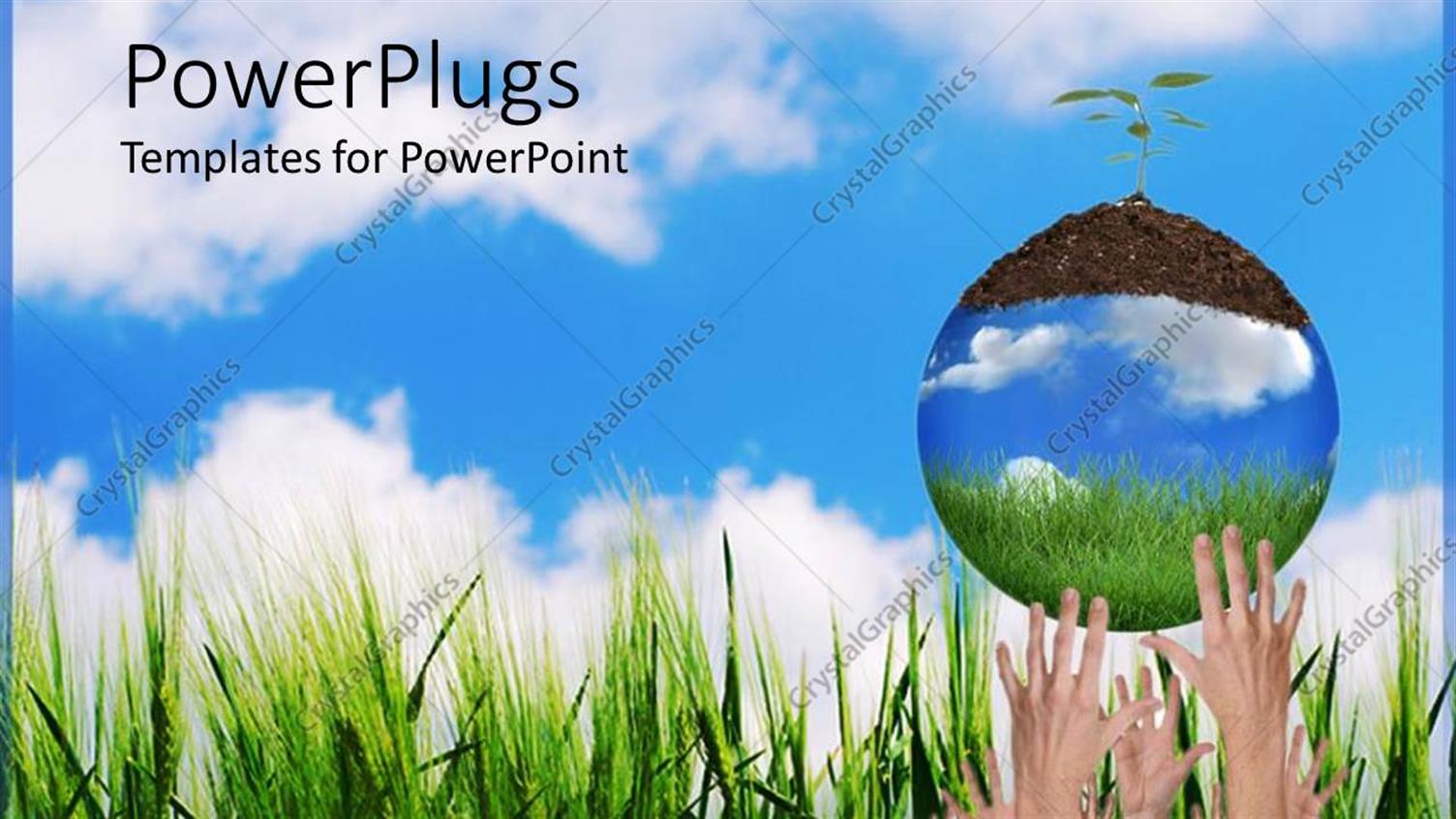 Premium Template for PowerPoint & Google Slides 