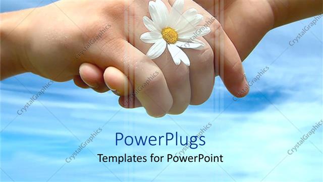  Presentation with daisy - Hands shaking with white daisy, blue sky background