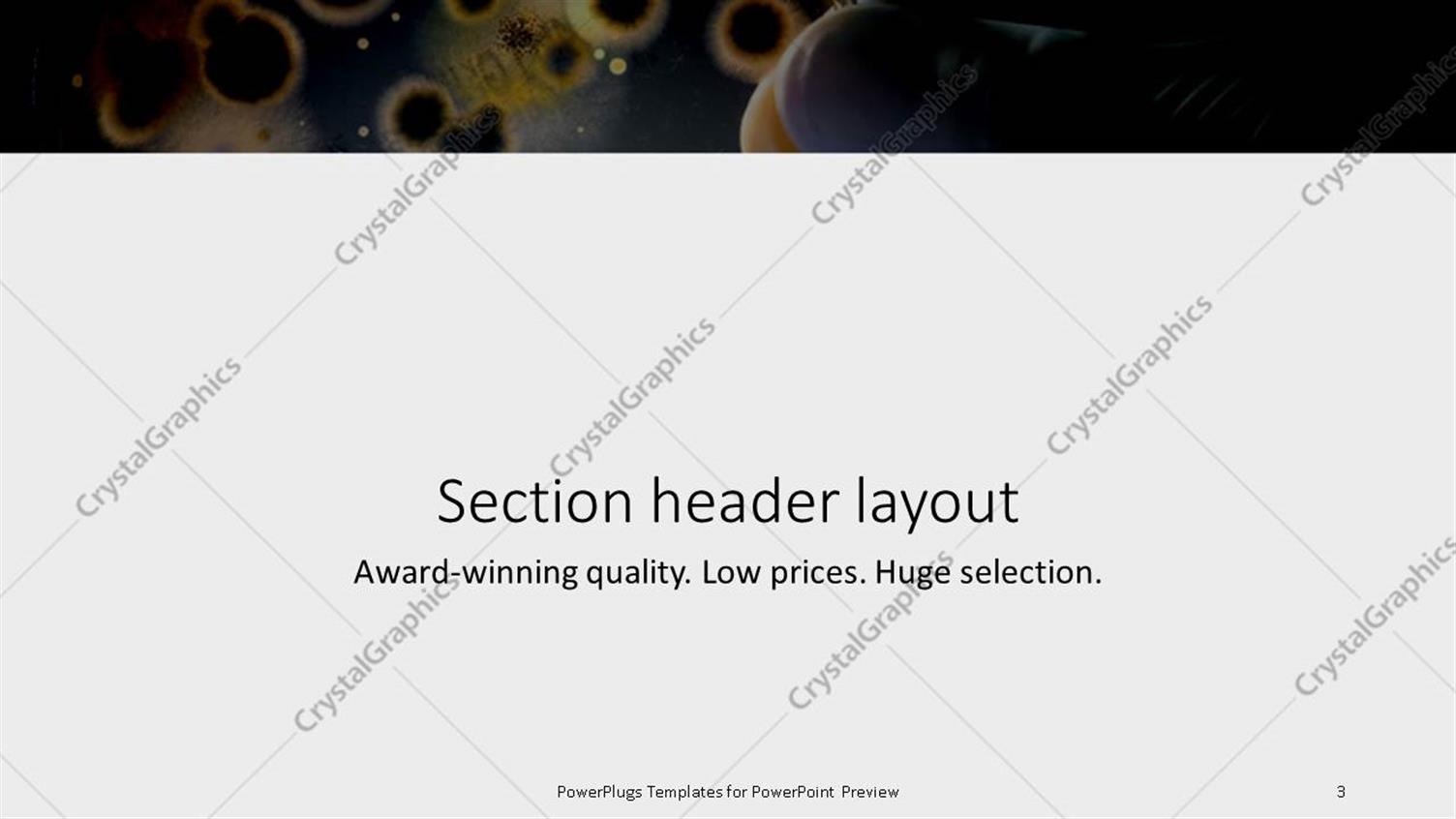 PowerPoint Template: Hands in surgical glove holding petri dish with