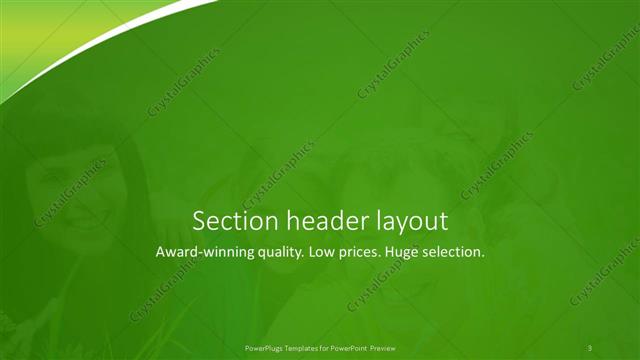 Section Header presentation slide layout