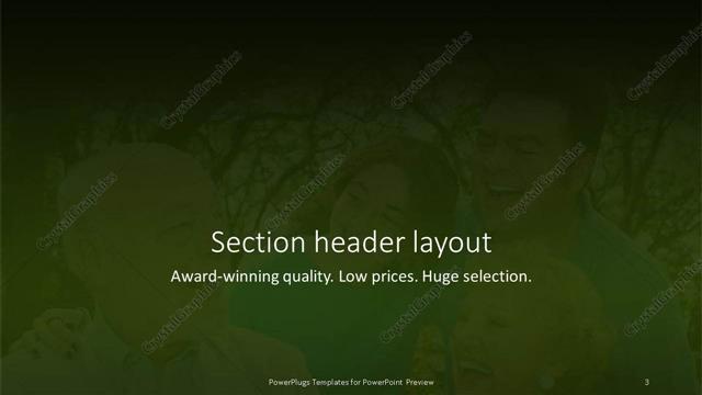 Section Header presentation slide layout