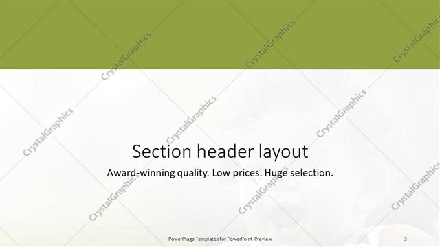 Section Header presentation slide layout