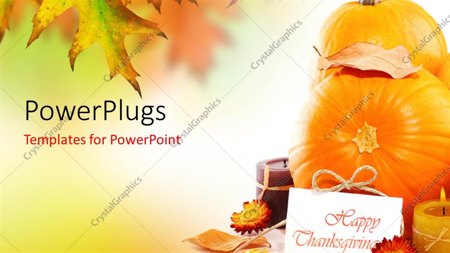 Premium Template for PowerPoint & Google Slides 