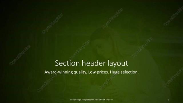 Section Header presentation slide layout