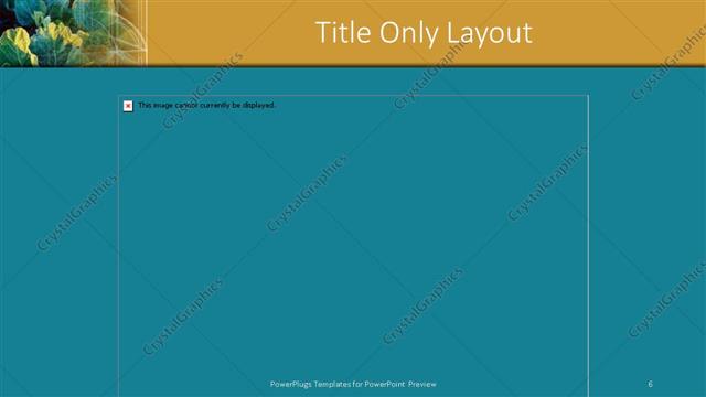 Title Only presentation slide layout
