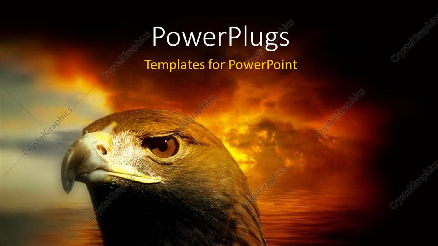 Premium Template for PowerPoint & Google Slides 