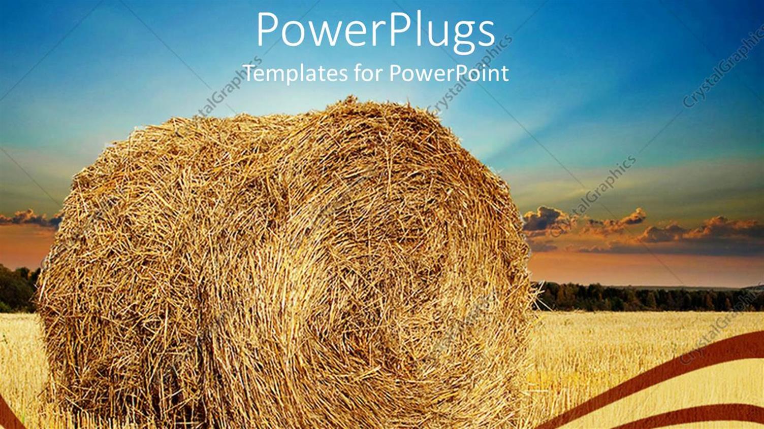 Premium Template for PowerPoint & Google Slides 
