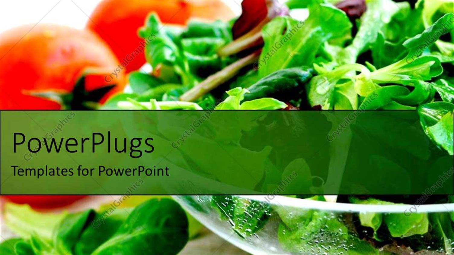 Premium Template for PowerPoint & Google Slides 