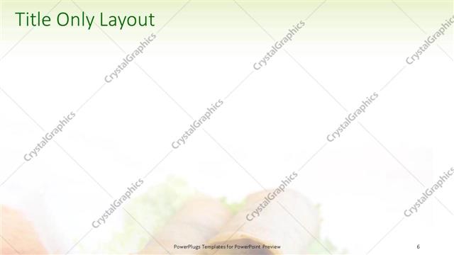 Title Only presentation slide layout