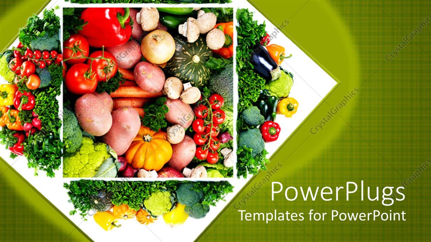 Premium Template for PowerPoint & Google Slides 
