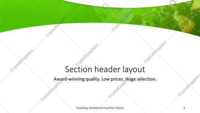 Section Header presentation slide layout