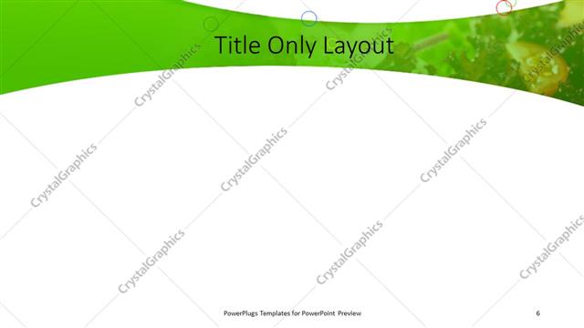 Title Only presentation slide layout