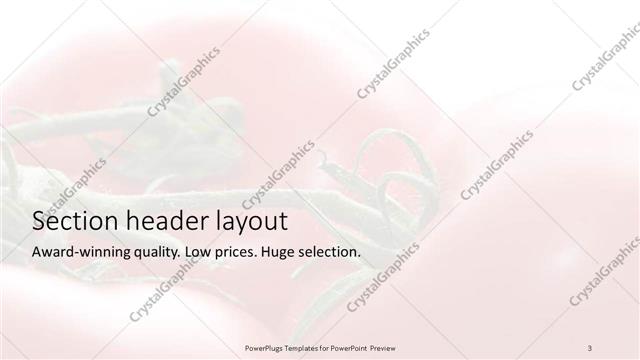 Section Header presentation slide layout