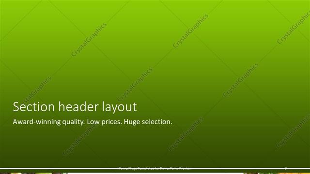 Section Header presentation slide layout
