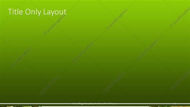 Title Only presentation slide layout