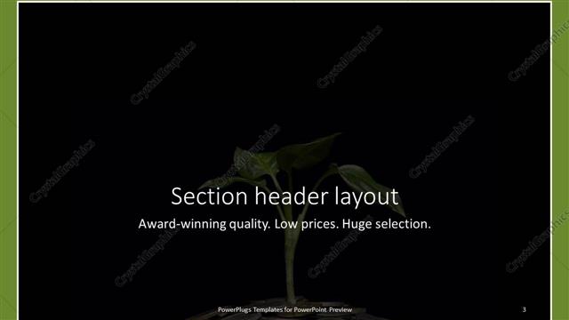 Section Header presentation slide layout