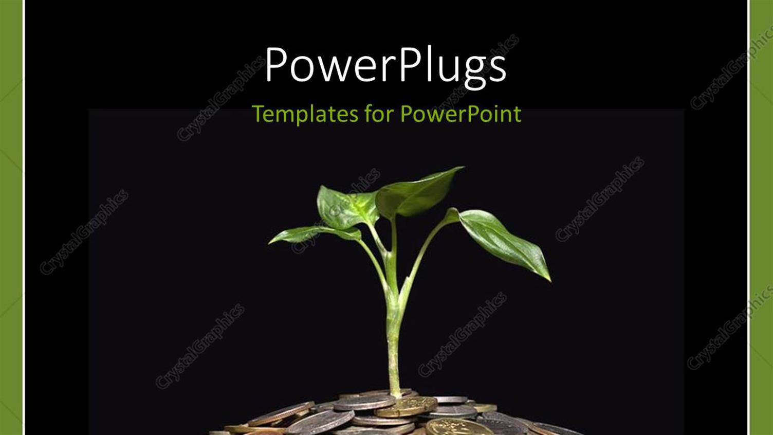 Premium Template for PowerPoint & Google Slides 