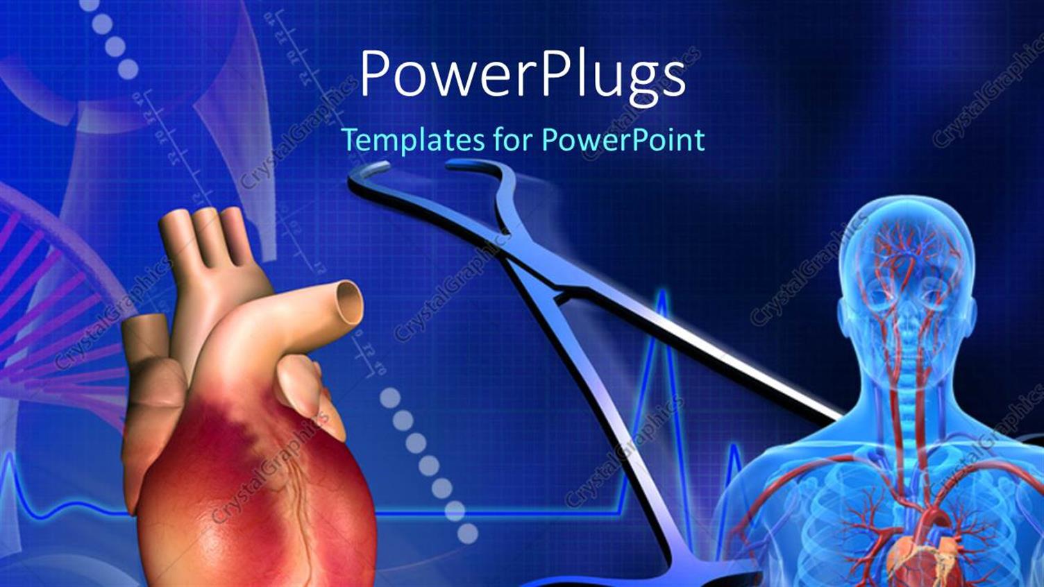 Premium Template for PowerPoint & Google Slides 