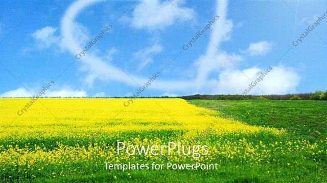  Presentation with heart flowers - Heart cloud in blue sky over field with flowers
