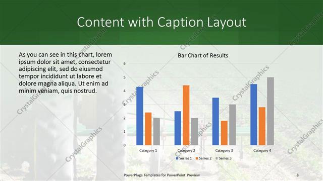 Content with Caption presentation slide layout