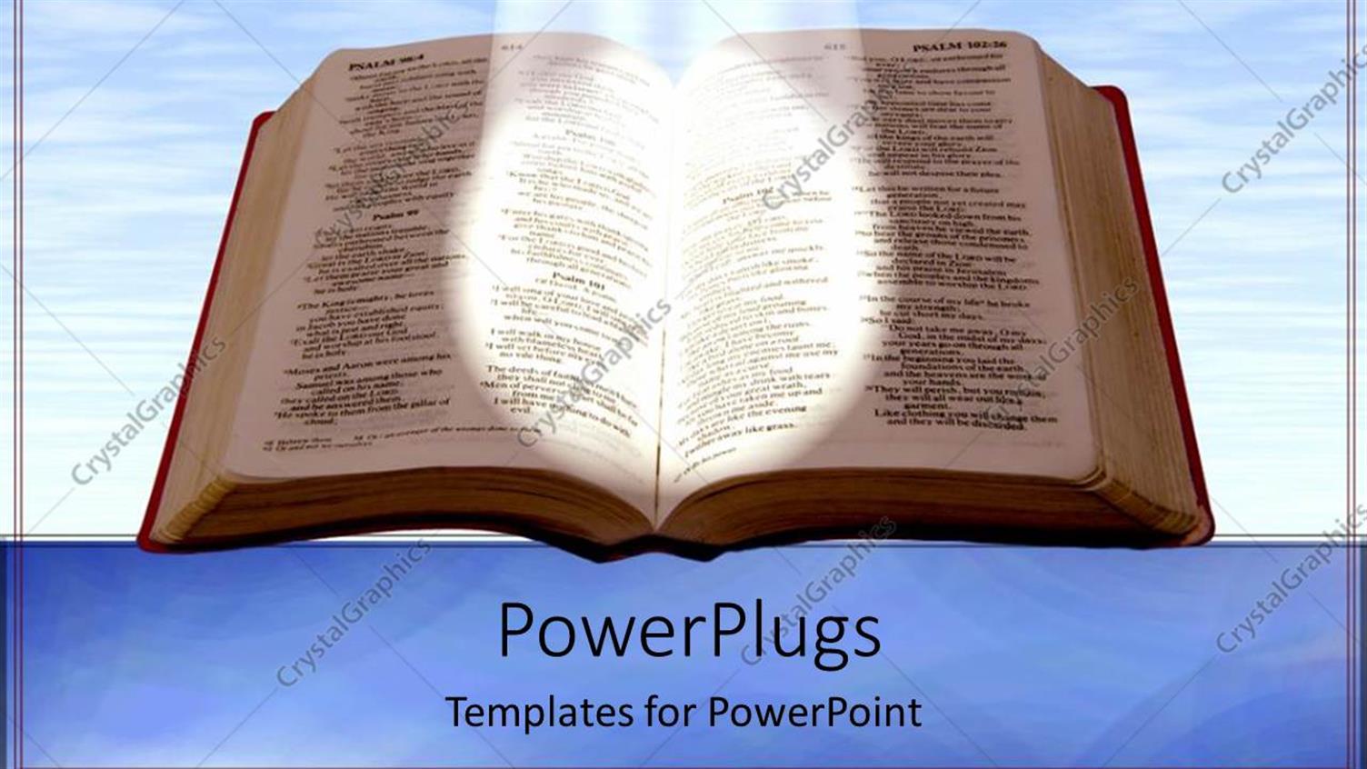 Premium Template for PowerPoint & Google Slides 