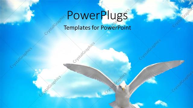  Presentation with royal blue - Holy spirit bird on Royal blue starburst color