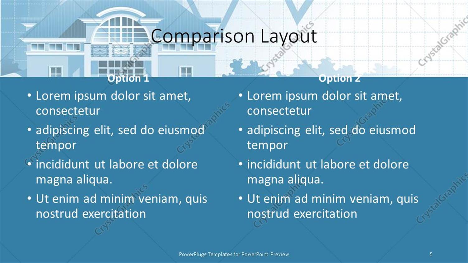 Premium Template for PowerPoint & Google Slides (24569)