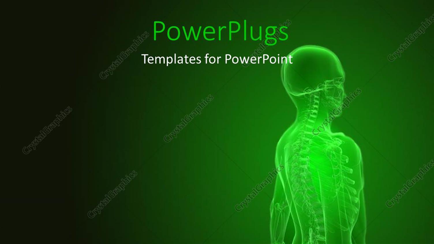 Premium Template for PowerPoint & Google Slides 