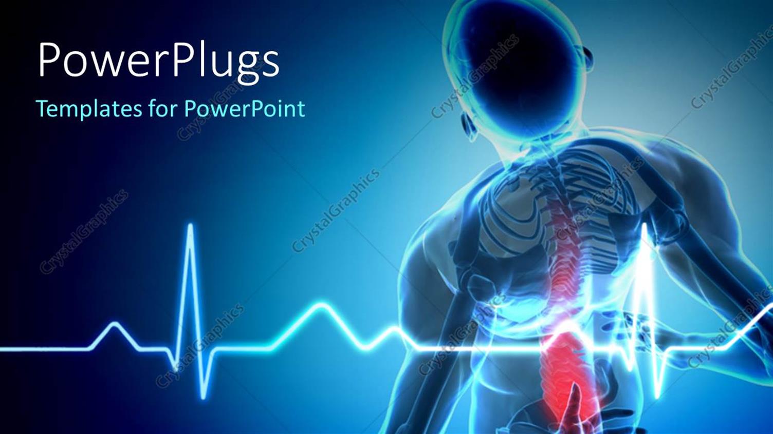 Premium Template for PowerPoint & Google Slides 