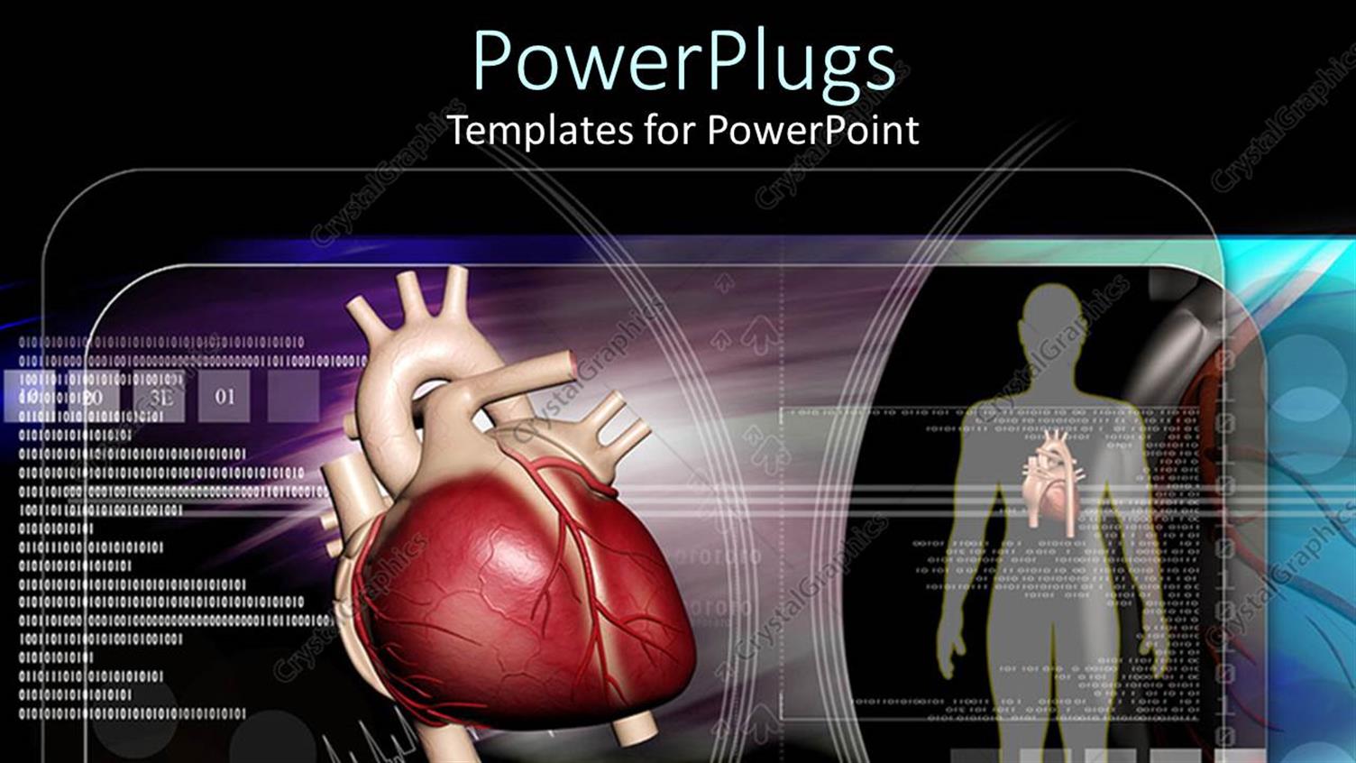 Premium Template for PowerPoint & Google Slides 