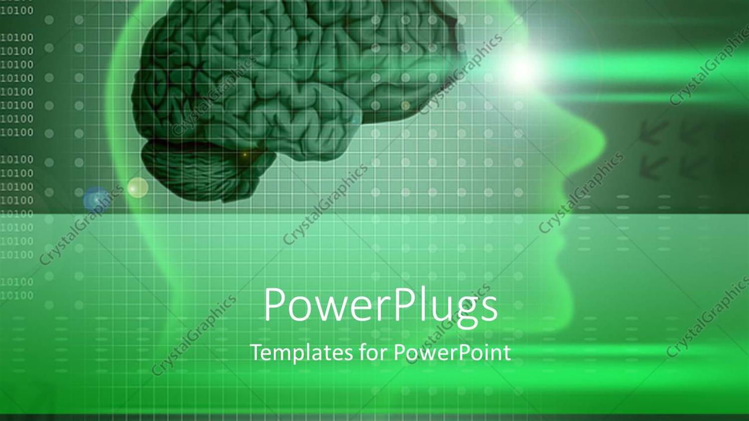 Premium Template for PowerPoint & Google Slides 