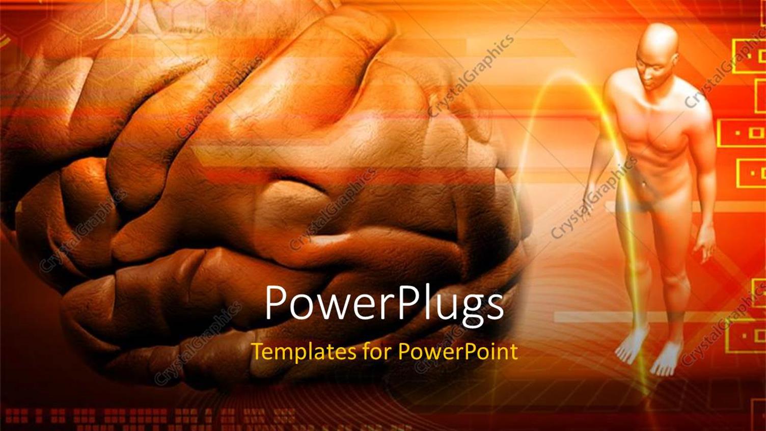 Premium Template for PowerPoint & Google Slides 
