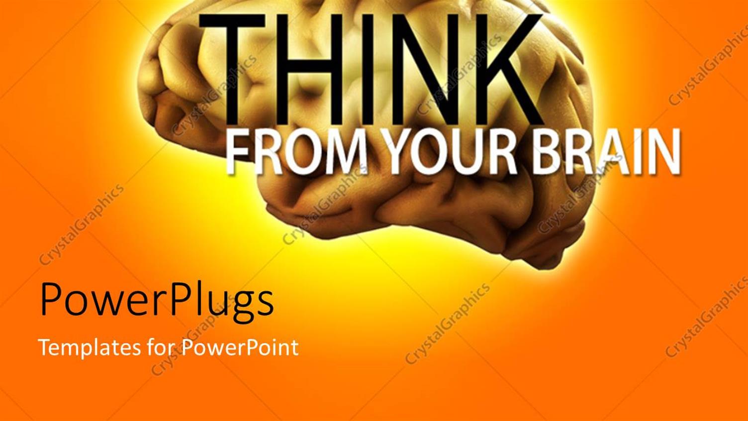 Premium Template for PowerPoint & Google Slides 