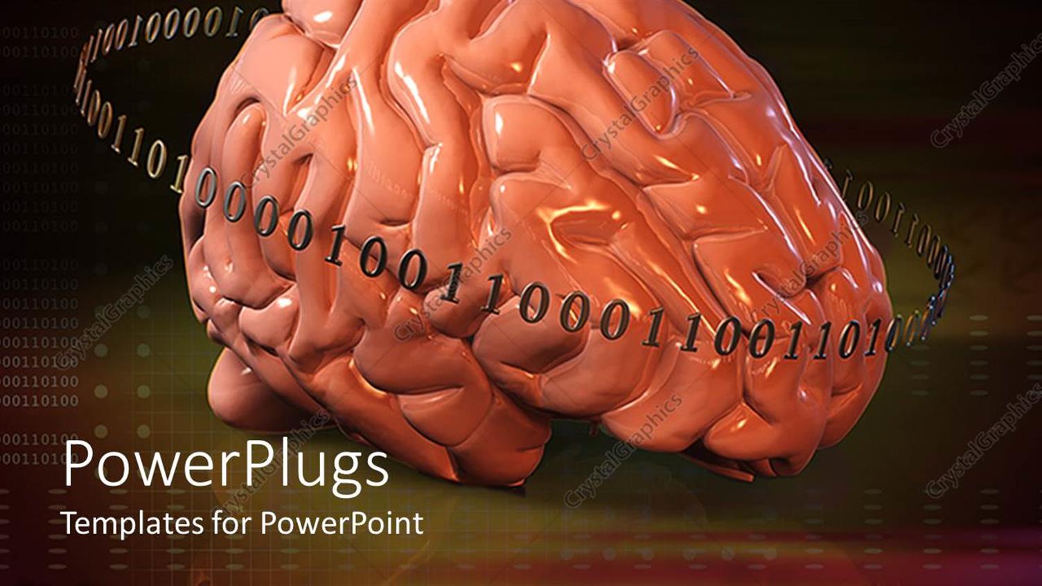 Premium Template for PowerPoint & Google Slides 